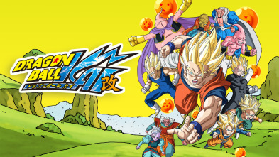 Imagen de Dragon Ball Z Kai (T2): Ep.12 ¡¿Qué ocurre, Piccolo?! Un resultado inesperado en la primera ronda - 2
