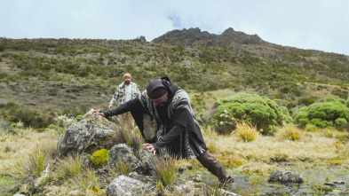 Imagen de Dúo de supervivientes...: Vetas - 2