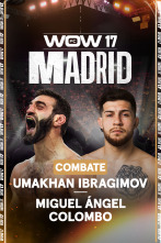 Imagen de WOW: La última pelea de Ibragimov - 1