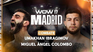Imagen de WOW: La última pelea de Ibragimov - 2