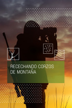 Imagen de Recechando corzos de montaña - 1
