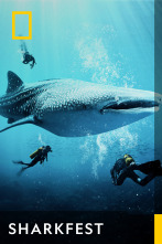 Imagen de Sharkfest  - 1