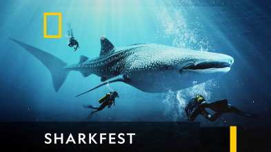 Imagen de Sharkfest  - 2