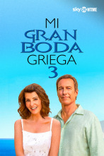 Imagen de Mi gran boda griega 3 - 1