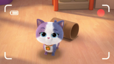 Imagen de Superkitties... (T2): Bola de Calabaza - 1