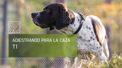 Imagen de Adiestrando para la caza (T1) - 2