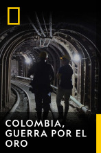 Imagen de Colombia, Guerra Por El Oro (T1) - 1