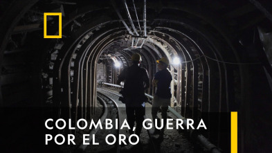 Imagen de Colombia, Guerra Por El Oro (T1) - 2