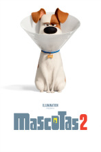 Imagen de Mascotas 2 - 1
