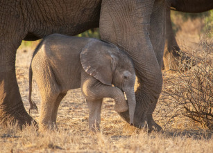 Imagen de Parenthood: Ep.4 - 7