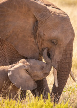 Imagen de Parenthood: Ep.4 - 11
