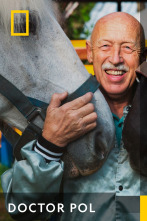 Imagen de Doctor Pol (T1) - 1
