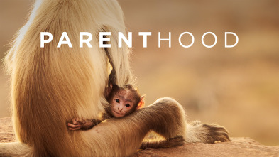 Imagen de Parenthood  - 2