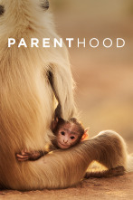 Imagen de Parenthood  - 1
