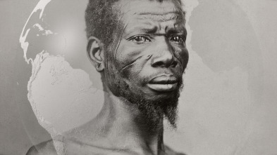 Imagen de La maldición del azúcar - 3