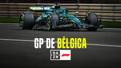 Imagen de Mundial F1 - GP de Bélgica (2025) - 4