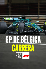 Imagen de Mundial F1 - GP... (2025): Carrera - 1