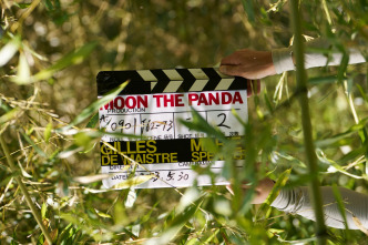 Imagen de Moon, mi amigo panda - 12