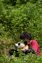 Imagen de Moon, mi amigo panda - 13