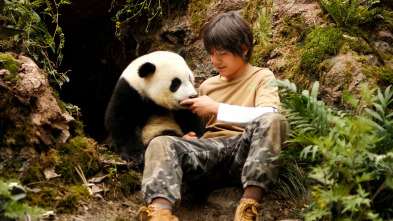 Imagen de Moon, mi amigo panda - 3