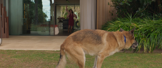 Imagen de Las irresponsables - 6