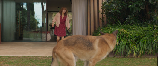 Imagen de Las irresponsables - 8