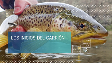 Imagen de Los inicios del Carrión - 2