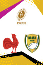 Imagen de Grupo  D: Francia - Brasil - 1