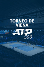 Imagen de Torneo de Viena - 2