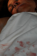 Imagen de Asesinatos en serie (T1): Ep.5 Secretos de la tumba - 1