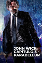 Imagen de John Wick: Capítulo 3 - Parabellum - 1