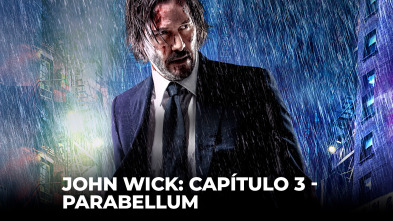 Imagen de John Wick: Capítulo 3 - Parabellum - 2