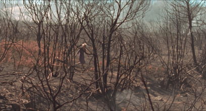 Imagen de O que arde - 13