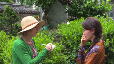 Imagen de La viajera - 4