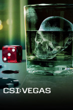 Imagen de CSI: Vegas (T3) - 1