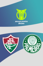 Imagen de Jornada 16: Fluminense - Palmeiras - 1