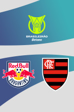 Imagen de Jornada 16: Bragantino - Flamengo - 1