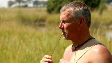 Imagen de Aventura en pelotas: La hora más oscura - 2