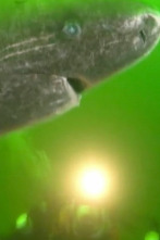 Imagen de ¿Cómo lo hacen?: Ep.1 - 1