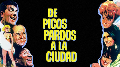 Imagen de De picos pardos a la ciudad - 2