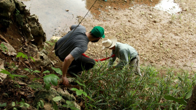 Imagen de Encadenados: Jungla del Camino Real, Panamá - 2