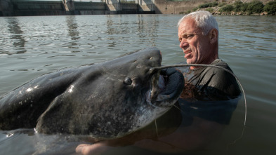 Imagen de Aguas profundas con...: El monstruo del lago italiano - 2