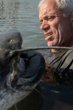 Imagen de Aguas profundas con...: El monstruo del lago italiano - 1