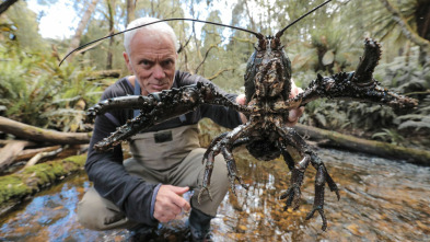 Imagen de Aguas profundas con...: Bestia de río jurásica - 2