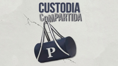 Imagen de Custodia compartida - 2
