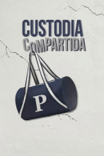 Imagen de Custodia compartida - 1