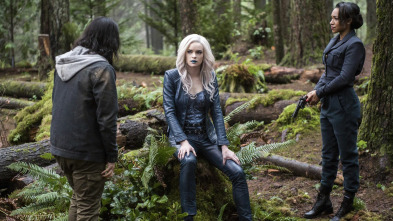 Imagen de The Flash (T2): Ep.14 Huida de Tierra-2 - 2