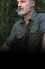 Imagen de The Walking Dead (T9) - 1