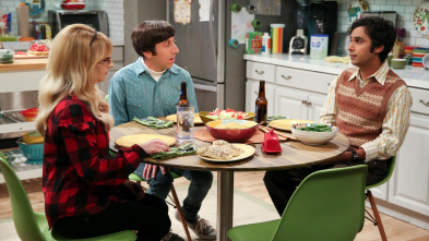 Imagen de The Big Bang Theory (T12): Ep.22 La conclusión maternal - 2