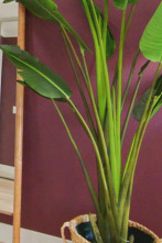 Imagen de Reforma por ruptura (T2): Ep.6 - 1